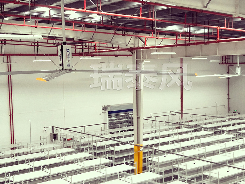 瑞泰風(fēng)大型工業(yè)節(jié)能風(fēng)扇安裝案例 瑞泰風(fēng)大型工業(yè)節(jié)能風(fēng)扇安裝案例