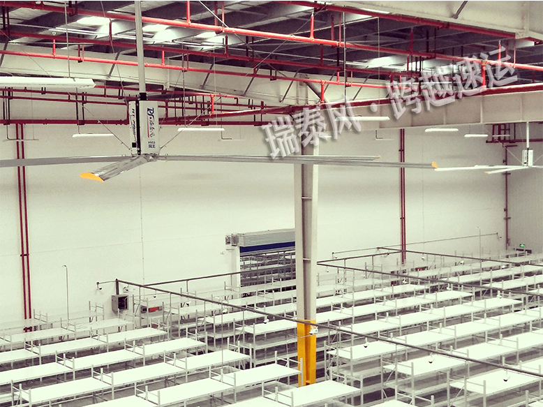 瑞泰風廠家汕尾工業(yè)大風扇,汕尾廠房大吊扇,汕尾工業(yè)大風扇廠家,汕尾廠房大吊扇廠家 瑞泰風廠家汕尾工業(yè)大風扇,汕尾廠房大吊扇,汕尾工業(yè)大風扇廠家,汕尾廠房大吊扇廠家